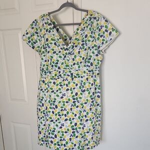 ✨️ Boden Regatta Cotton Pleated Olive Branch Women's Dress Sz 14R